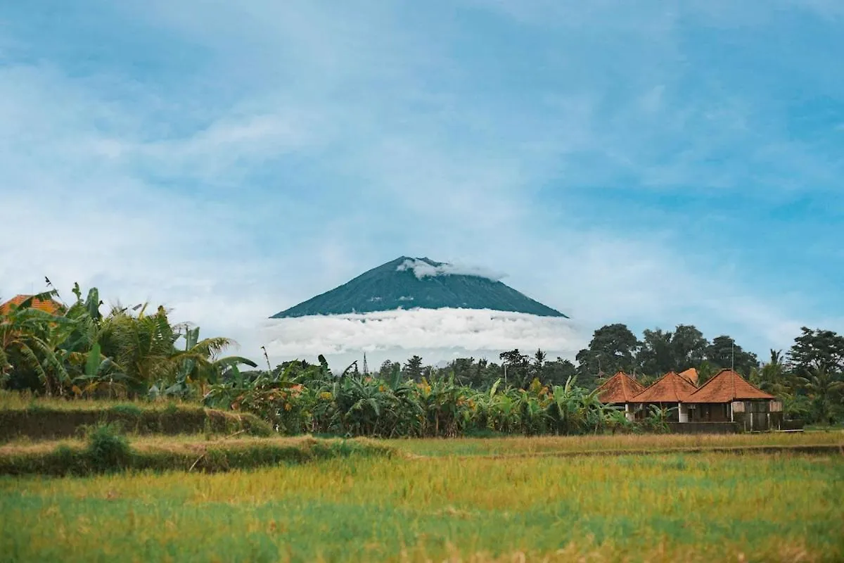 Villa Panak In Rice Fields Ubud